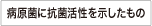 病原菌に抗菌活性を示したもの